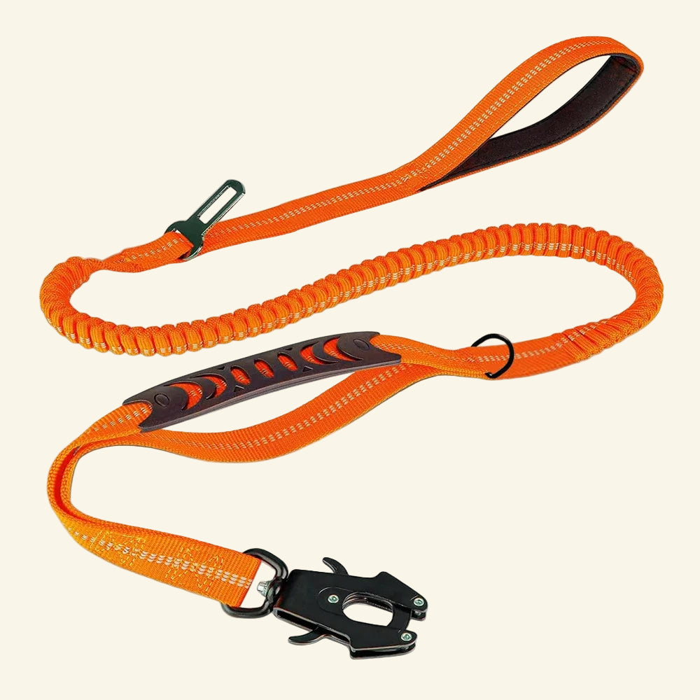 WoofGrip Lead